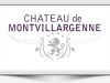 Cheteau de Montvillargenne